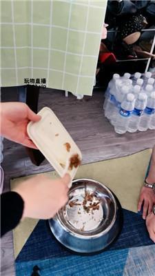 【白狐】狗盆喂食专场 JS250503-6