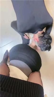 【高傲】情侣奴-遛狗爬楼梯/转胯/强迫圣水