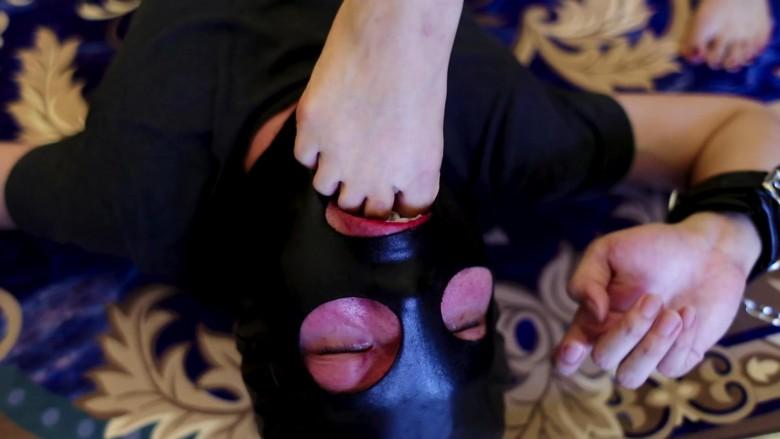 〖H.P.L栖心之栈〗—叒叕见血！尔岚暴力流放飞自我（下集）