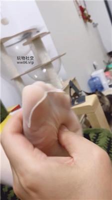 【艾黎】转盘决定惩罚方式 bf50523