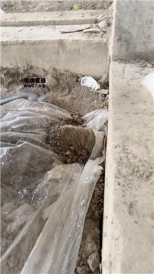 【Mico兔】户外工地活埋废物 JS250413-8