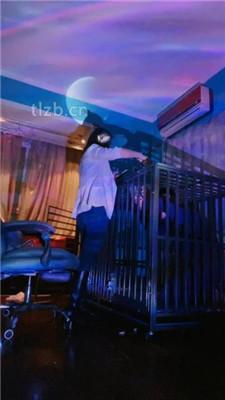 【语阳】狗笼圈养驯化前任