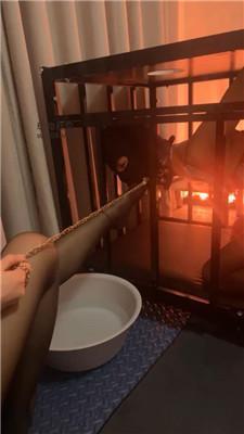 【婉心】吊绑囚禁狗笼CD【双视角版】 JS250219-24