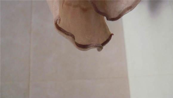 馨雨起床换丝袜