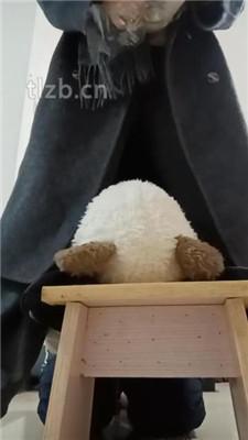 【爱可呀】母畜-清理脏鞋/闻棉袜/对鞋磕头/袜子塞嘴