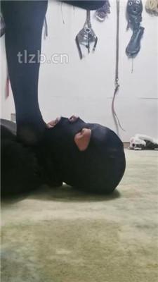 【魔鬼天使】暴力虐打惩罚放鸽子的狗