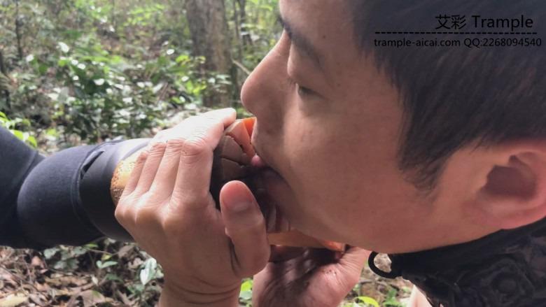 《湘香女王》野外负荆请罪的狗