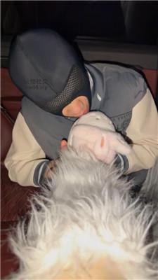 【狗哥】开发可爱小公举车内调 JS250304-36