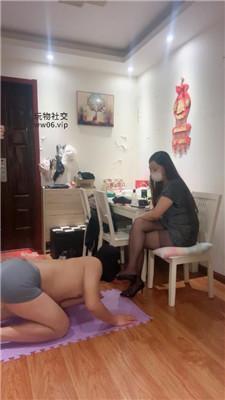 【水凝】下跪伺候-御姐黑丝高跟虐 JS250204-19