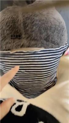 【安安sama】碾压踩踏-玉足狂舔 JS250331-28