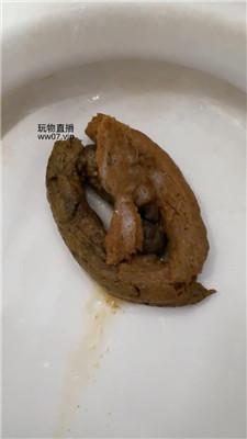 【兔兔酱】臭马桶吃屎专场    250224-10