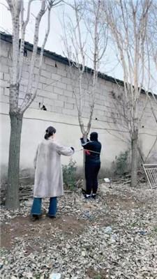 【沅芷大人】吊绑树上鞭子狂抽