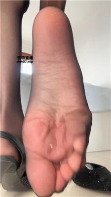 【酒鸽】灯    250313-11