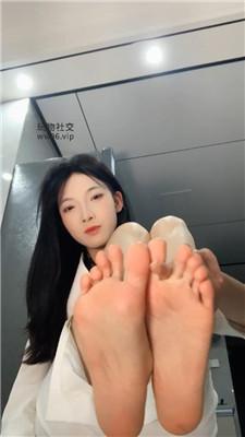 【千千】专治早些狗    250207-13