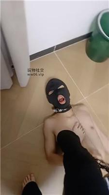 【琪琪主人】骑马/白袜裸足狂舔 JS250217-20