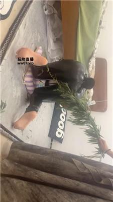 【饭饭】重度sp专场 JS250504-26