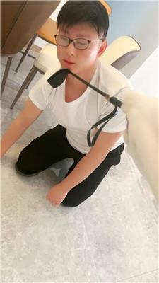 【薇薇情侣主】骑马狗爬/毛拖鞋白袜虐 JS250108-26