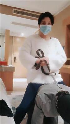 【伯爵】吊绑/骑马爬行/裸足恋足舔/鞭打