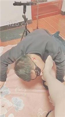 【coco】面试应聘家奴的狗