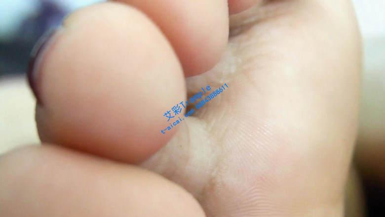 【珊瑚湾】GTS POV 同事变成小虫子