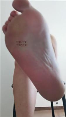 【江露】给狗子的灯    250207-3