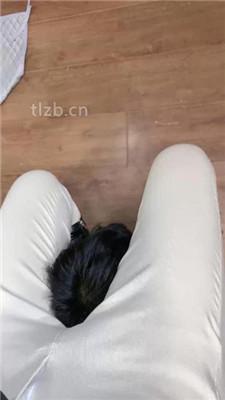 【冰诺】长靴踢踹踩虐/脚插嘴/物化座椅