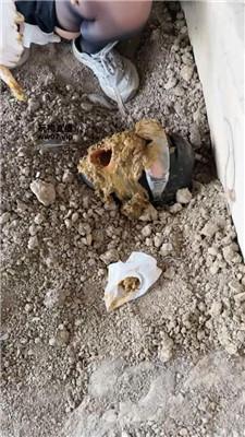 【Mico兔】户外工地活埋废物 JS250413-8