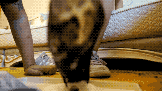 希雨运动鞋船袜裸足喂食