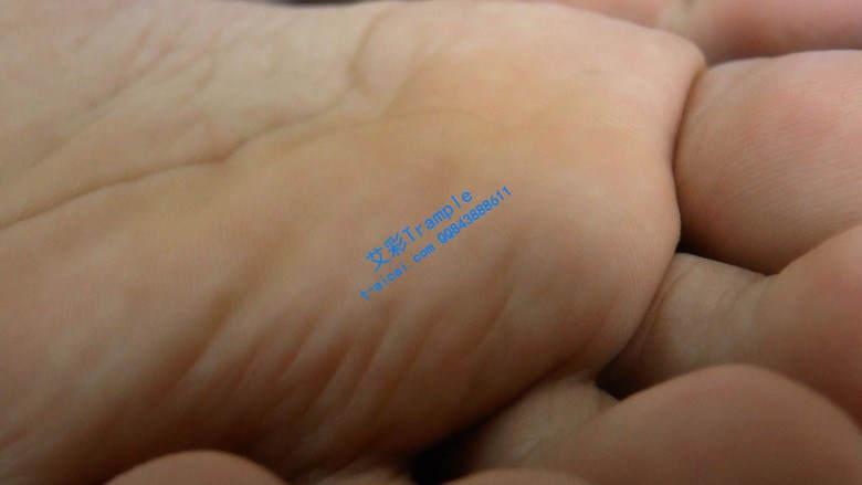 【珊瑚湾】GTS POV 同事变成小虫子