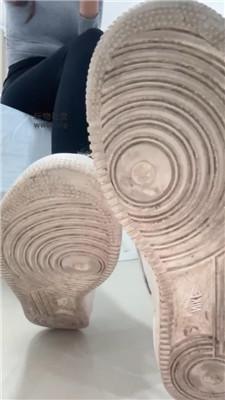 【酒鸽】灯    250121-6