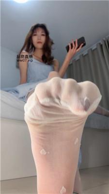 【酒鸽】灯    250227-5