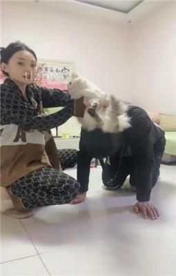 【小月牙】居家素颜给助理奴上课【续集】