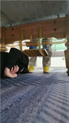 【文文文文】桌底视角-台球助教首调 JS250225-12