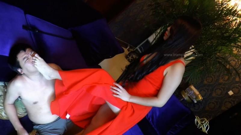 柳柳-赤红风暴 柳柳-赤红风暴