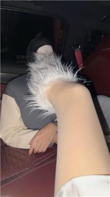 【狗哥】开发可爱小公举车内调 JS250304-36