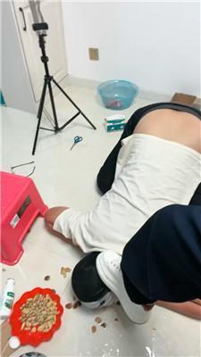 【锅盖子】强迫喂食呕吐物 JS250106-16