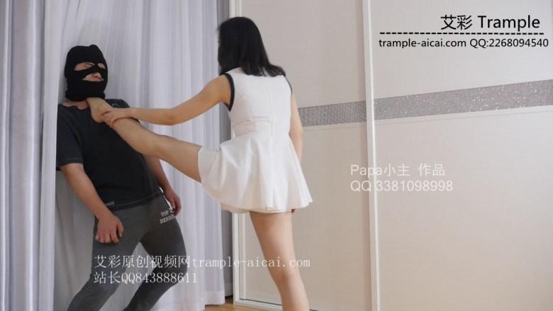 小主高抬腿杀狗