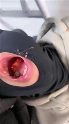 【樱子大人】口吐喂食/雪地靴踩虐/提档耳光/鞭打