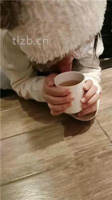 【爱可呀】双S-伺候超模学姐-胯下羞辱/舔脚清理鞋底