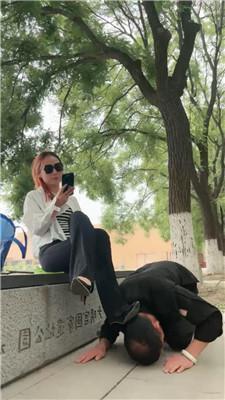 【语阳】白领S户外遛狗 JS250506-28