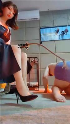 【魔鬼天使】高跟碾压踩-重度鞭打 bf53142