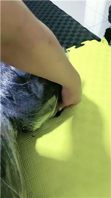 【安心】保鲜膜窒息全包 JS250328-32