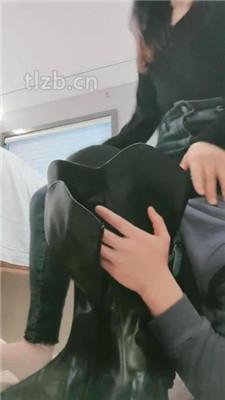 【妮蔻】长靴踩狗头/人肉座椅/踩踏/舔脏鞋底/闻鞋闻白袜