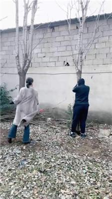 【沅芷大人】吊绑树上鞭子狂抽