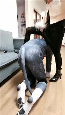 【语小心】彻底犬化废物家奴【双视角版】 JS250104-51