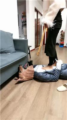 【语小心】彻底犬化废物家奴【双视角版】 JS250104-51