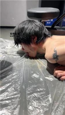 【佳禾】女警官刑讯逼供双M bf51297