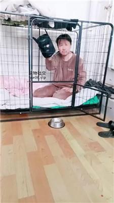 【九创】五花大绑虐女奴 JS250304-43