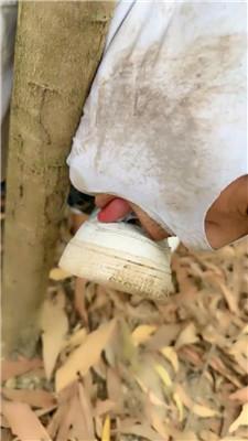 【暴主】户外强迫舔小白鞋处刑 bf51809