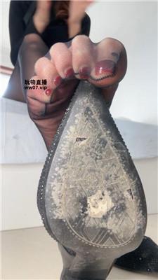 【酒鸽】灯    250313-11